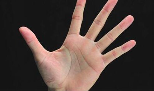 “摊开你的掌心，让我看看你”是哪首歌里面有啊？