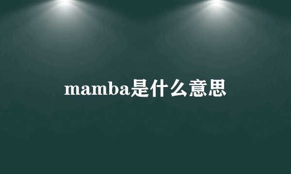 mamba是什么意思