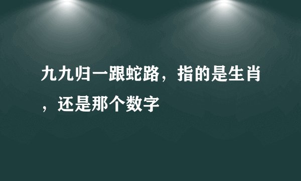 九九归一跟蛇路，指的是生肖，还是那个数字