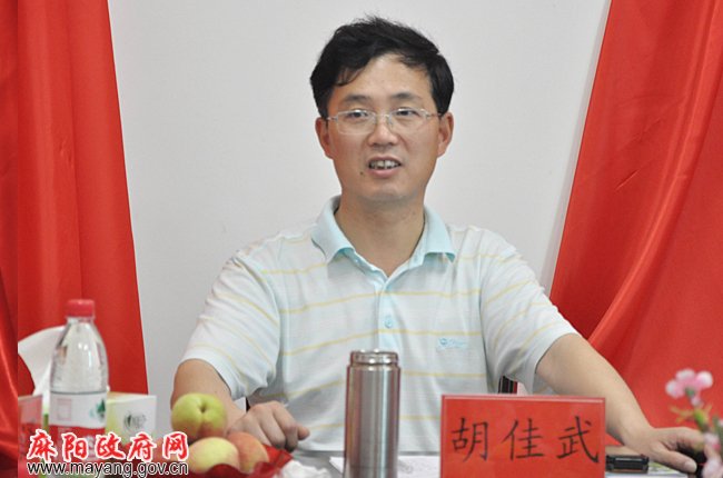 胡佳武的人物履历