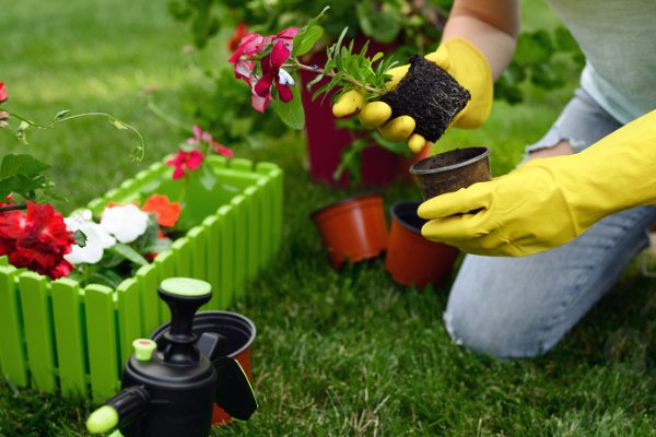 园丁颂的著名现代诗歌