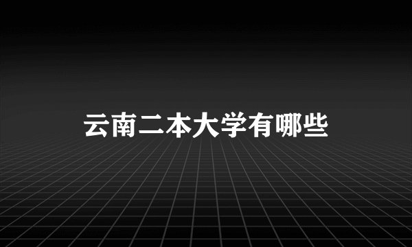 云南二本大学有哪些