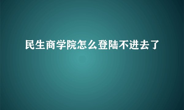 民生商学院怎么登陆不进去了