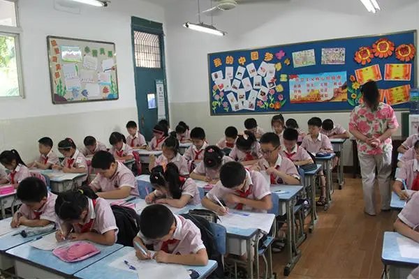 小升初考试成绩怎么查