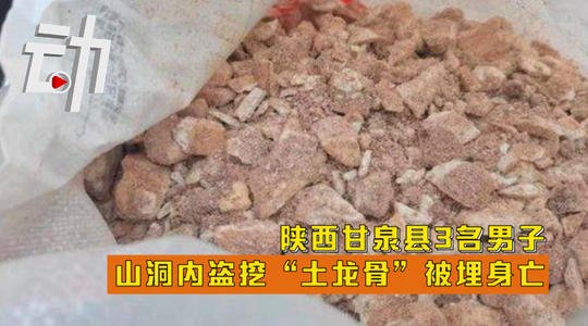 3男子盗挖土龙骨被埋身亡，值得同情吗？