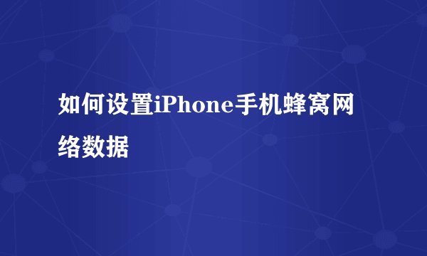 如何设置iPhone手机蜂窝网络数据