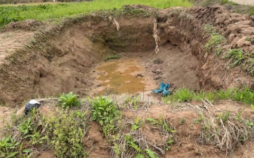 “土坑酸菜”事件影响13万人生计，为何会影响这么大？农户该怎么办？