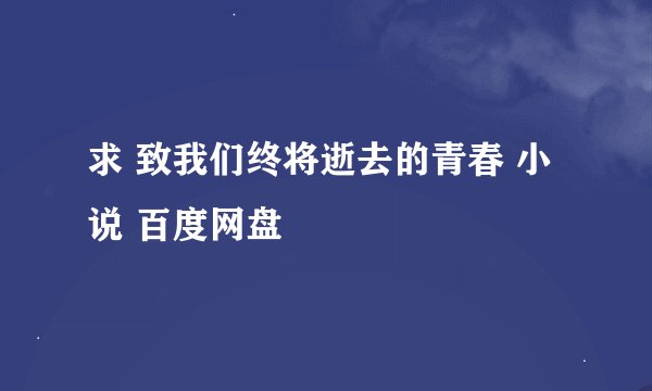 求 致我们终将逝去的青春 小说 百度网盘