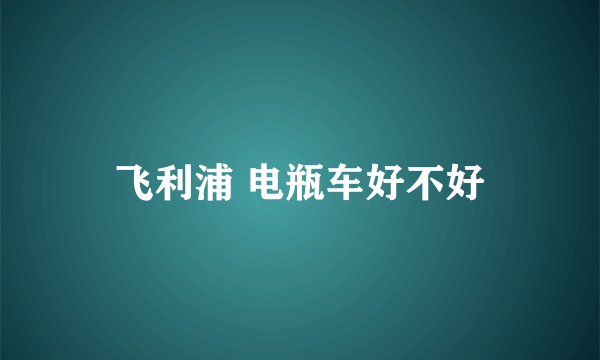 飞利浦 电瓶车好不好