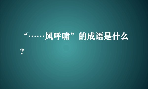 “……风呼啸”的成语是什么？