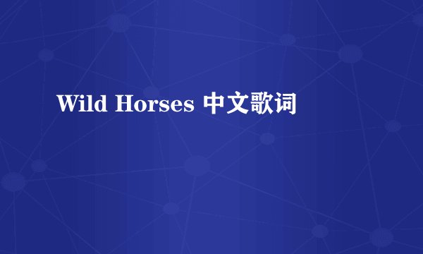 Wild Horses 中文歌词