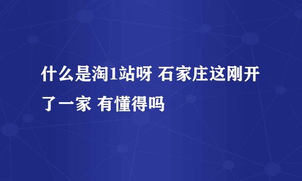 什么是淘1站呀 石家庄这刚开了一家 有懂得吗