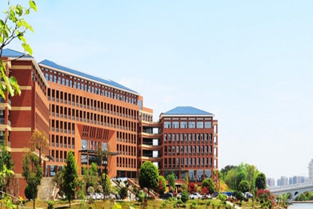 2014湖北高考分数线