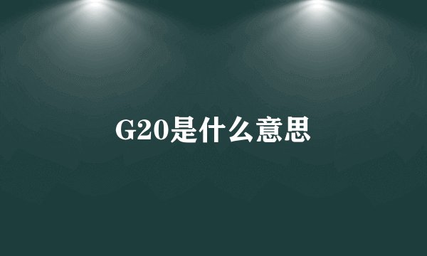 G20是什么意思