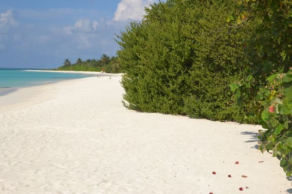 马尔代夫属于哪个洲？