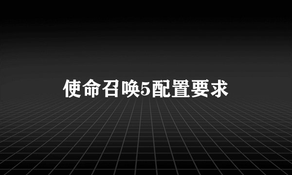 使命召唤5配置要求