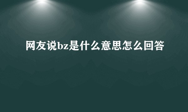 网友说bz是什么意思怎么回答
