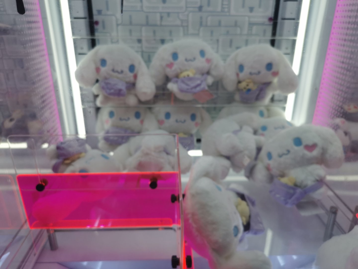 图书馆的工作对于年轻人怎么样？