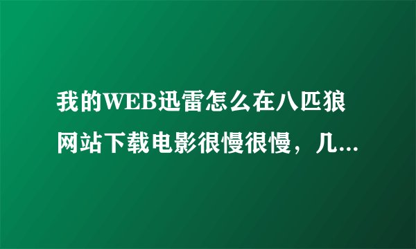 我的WEB迅雷怎么在八匹狼网站下载电影很慢很慢，几乎不动？？？郁闷 请高人解决