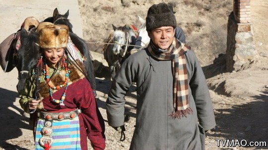 生死金天鹅的介绍