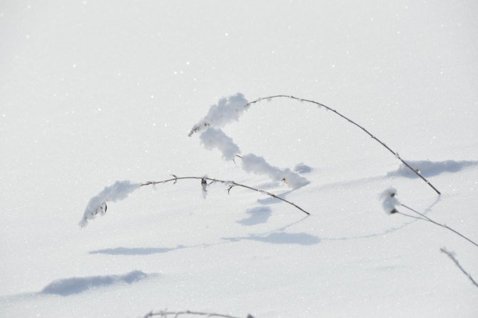 穿越珊瑚海的歌曲歌词