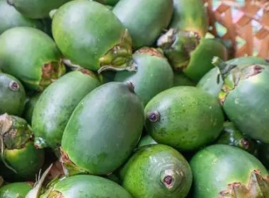 网友建议禁售槟榔，广东官方回应：已转相关部门阅研，是否应该禁售槟榔？