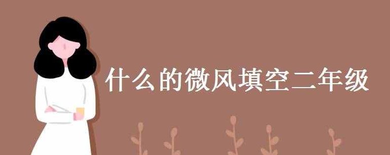 什么的微风填合适的词二年级上册