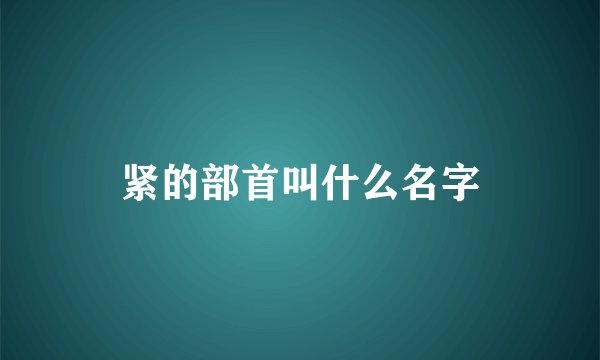 紧的部首叫什么名字