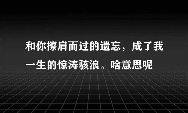 和你擦肩而过的遗忘，成了我一生的惊涛骇浪。啥意思呢