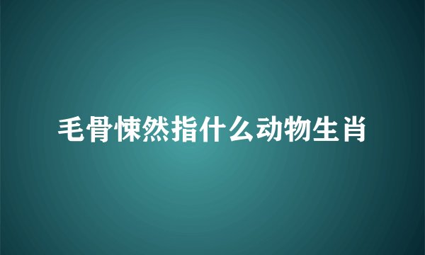 毛骨悚然指什么动物生肖
