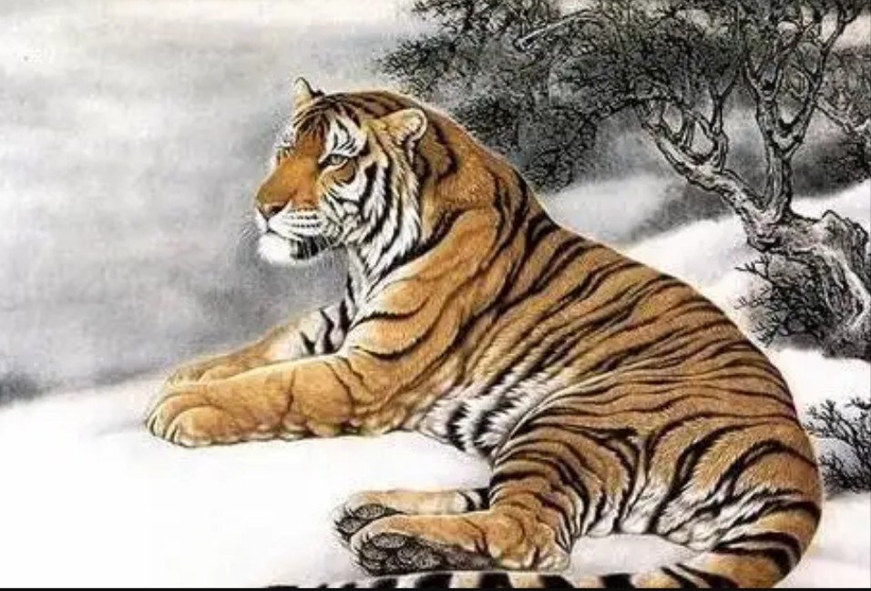 一身是胆打一生肖