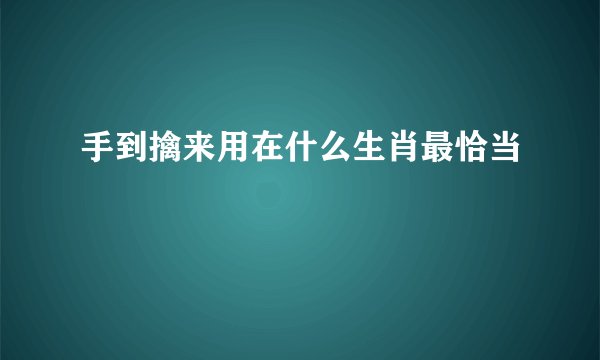 手到擒来用在什么生肖最恰当