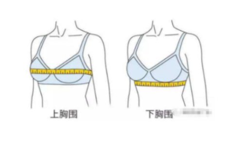 请问胸围96的，怎么换算国际尺码是多少？