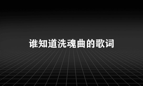 谁知道洗魂曲的歌词