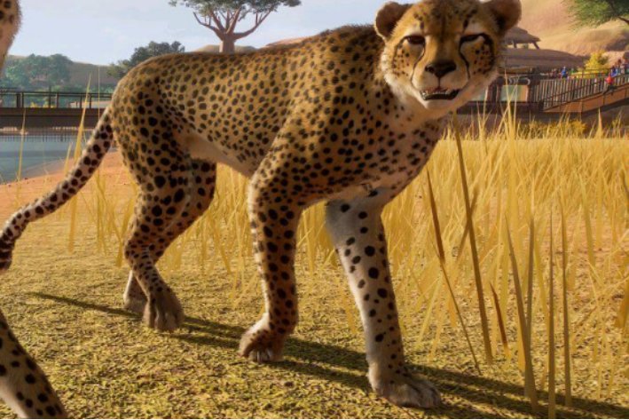 描写动物动作的句子摘抄