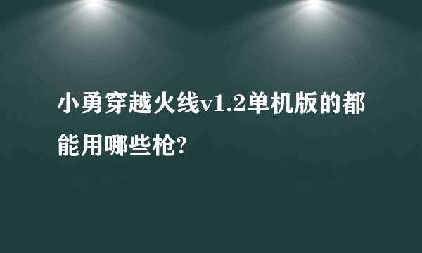 小勇穿越火线v1.2单机版的都能用哪些枪?