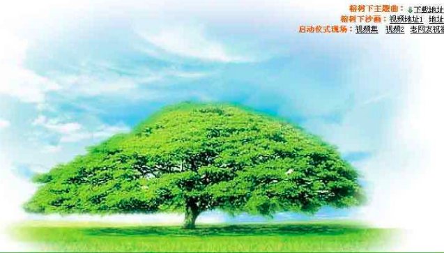 榕树下是谁创作的网站？