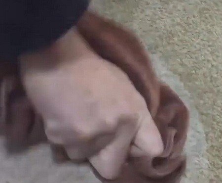 苏打粉如何洗地毯