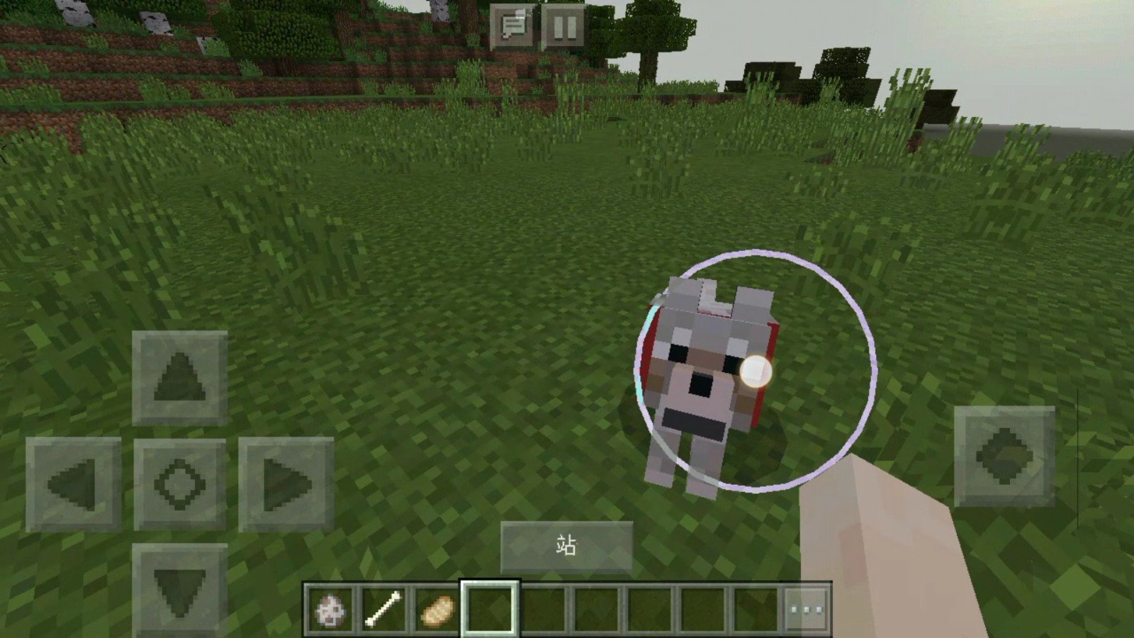 我的世界怎么让驯服的狗跟着