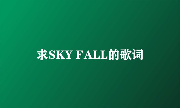 求SKY FALL的歌词