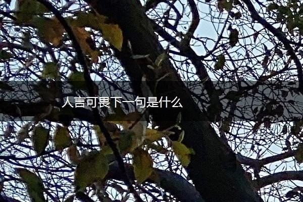 人言可畏下一句是什么