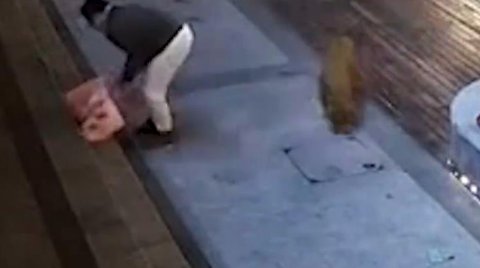 无锡一遛狗未牵绳男子街头虐猫，从他的行为中暴露出了哪些人品问题？