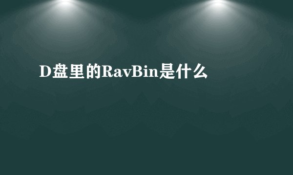 D盘里的RavBin是什么