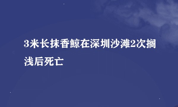3米长抹香鲸在深圳沙滩2次搁浅后死亡