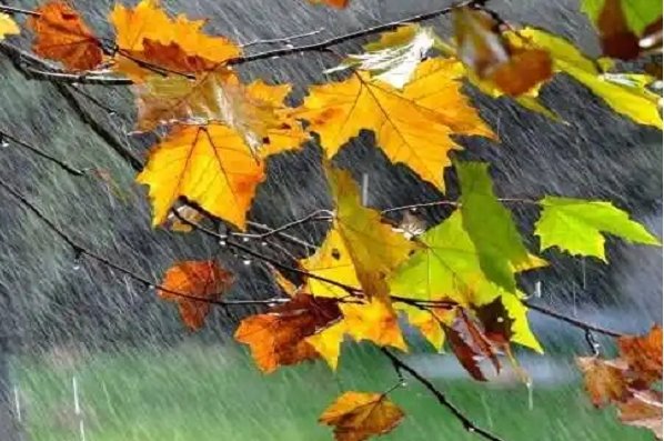 秋天的雨课文的生字组词和拼音