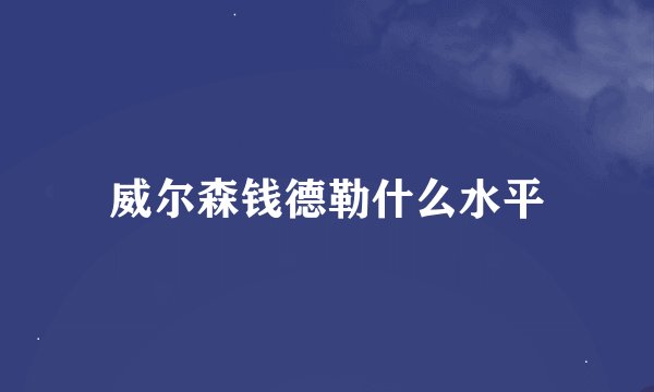 威尔森钱德勒什么水平