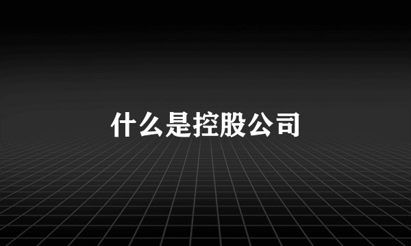 什么是控股公司