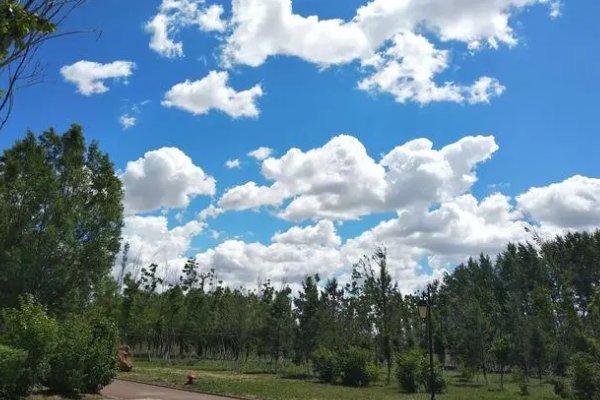 处暑时节民间有七月八月看巧云之说巧云是指那种云