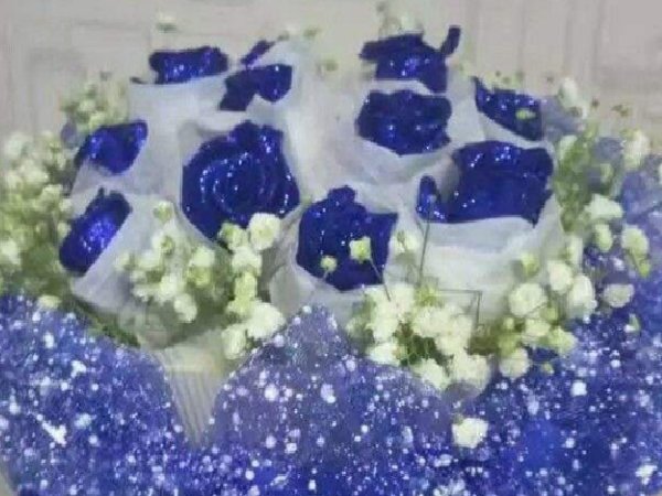 蓝色玫瑰的花语是什么意思