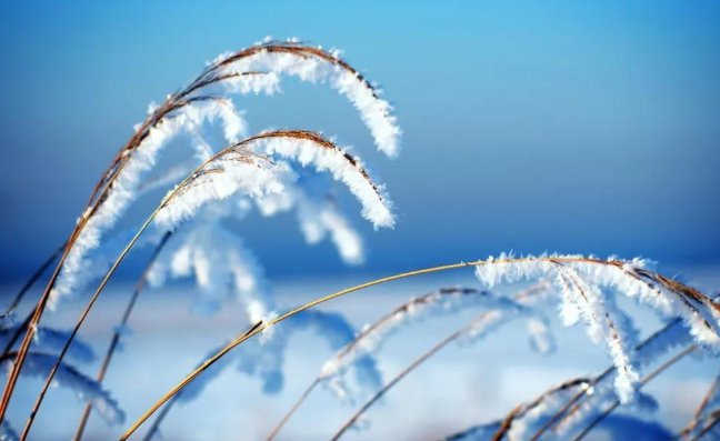 2021年1月10日是几九？